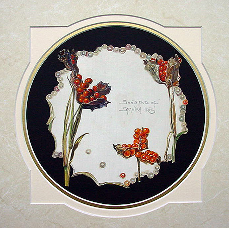 Picture Framing in Modbury South Devon